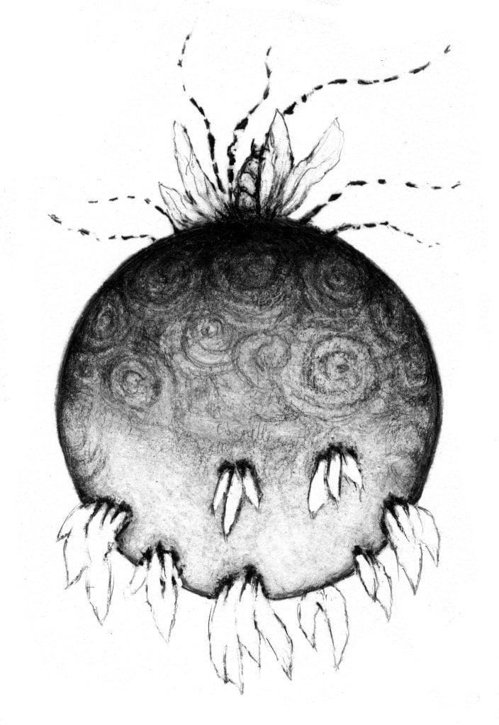 Mat Osmond - Fly Sings 3