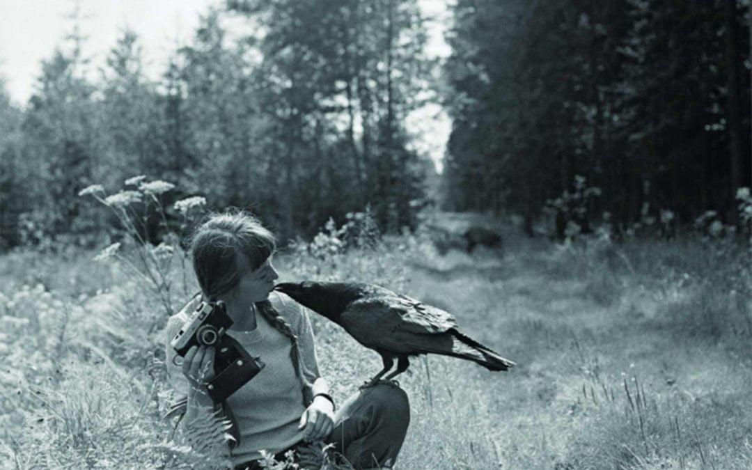 The extraordinary life of Simona Kossack
