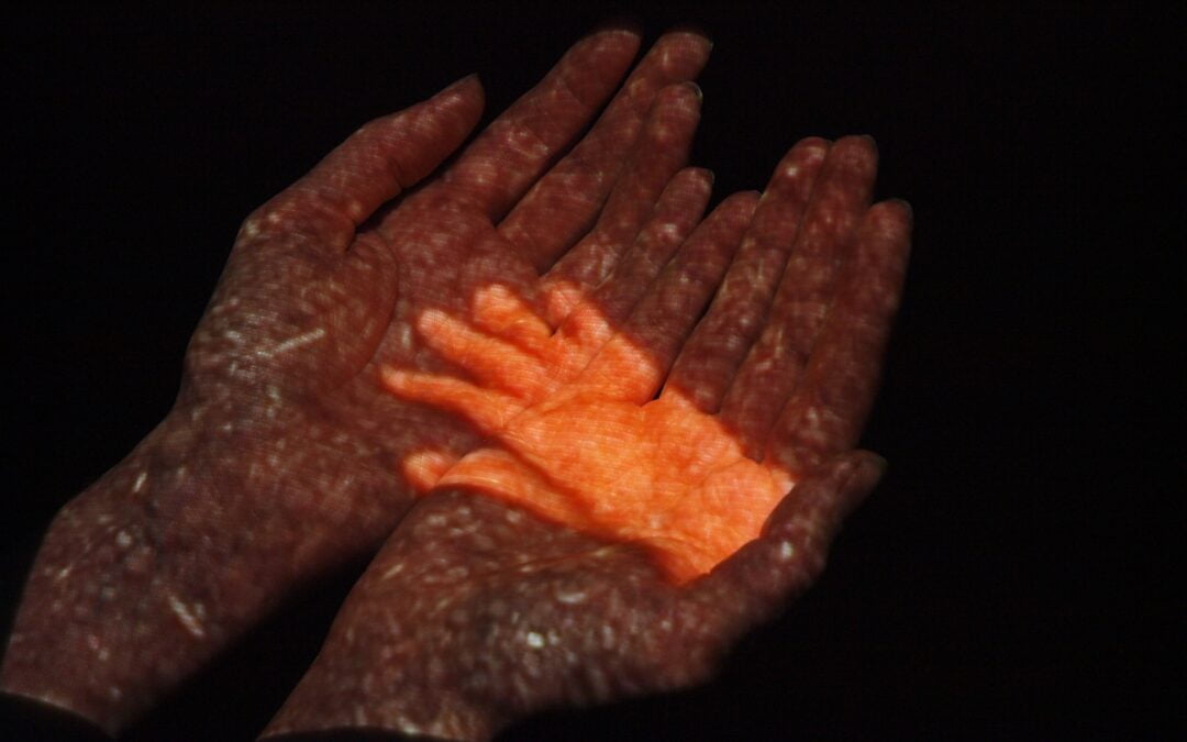 Ann-Marie Fairbrother