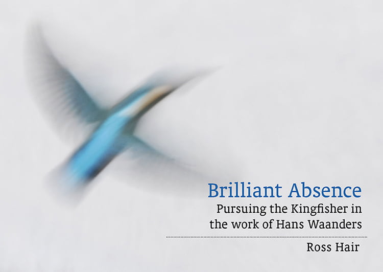 Brilliant Absence: pursuing the Kingfisher…