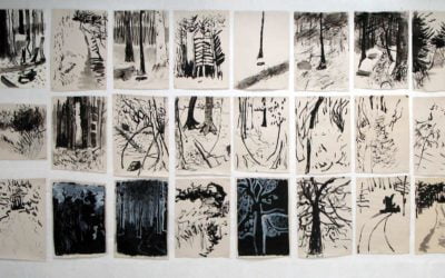 Exhibition:  Evolving the Forest