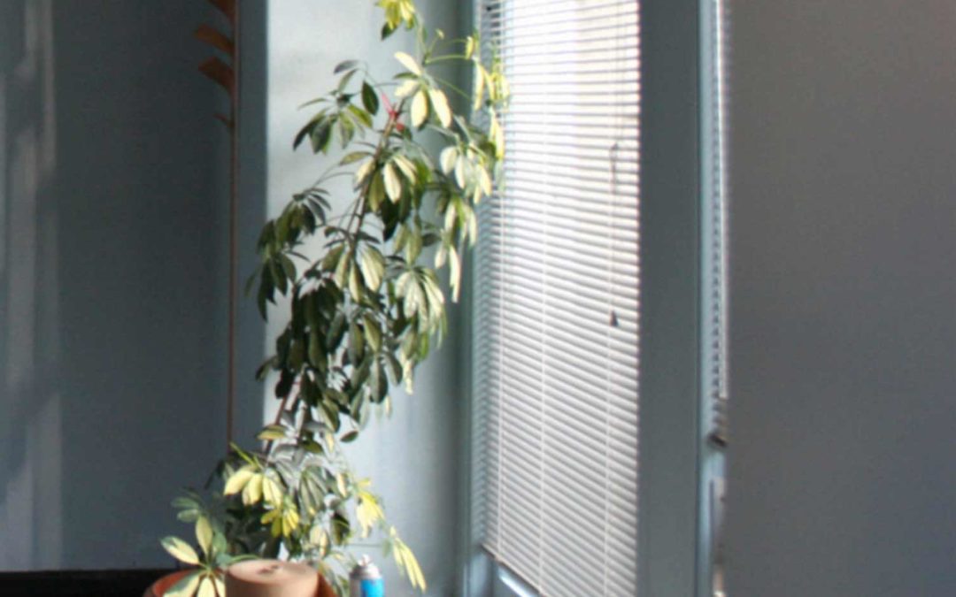 Time & Attention (CSPA Quarterly 25)