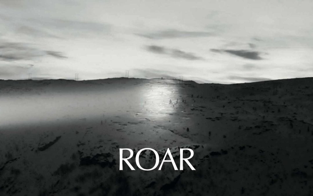 Publication: ROAR