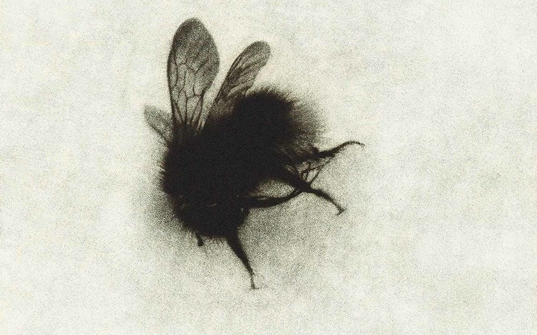 Borrowed Time – important news